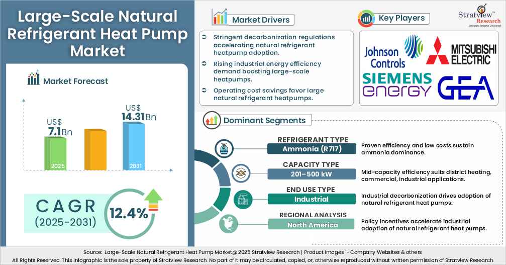 large scale natural refrigerant heat pump market insights
